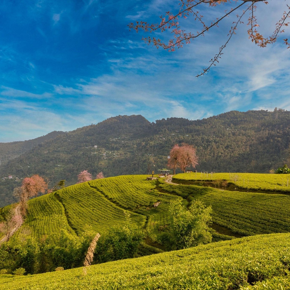 Namchi & South Sikkim